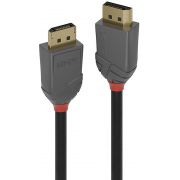Lindy 36481 1m DisplayPort DisplayPort Zwart, Grijs DisplayPort kabel