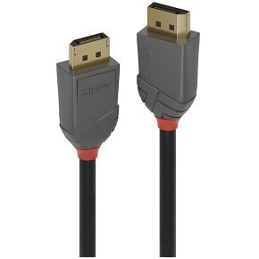 Lindy 36484 1m DisplayPort DisplayPort Zwart, Grijs DisplayPort kabel