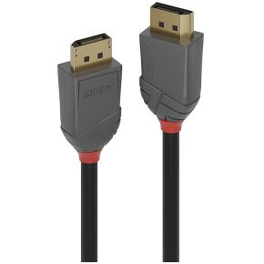 Lindy 36480 DisplayPort kabel 0,5 m Grijs