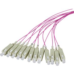 Efb Elektronik O36852 2M 12X Sc Lszh Om4 Violet Glasvezel Kabel efb elektronik kopen in de aanbieding Efb Elektronik O36852 2M 12X Sc Lszh Om4 Violet Glasvezel Kabel efb elektronik kopen in de aanbieding
