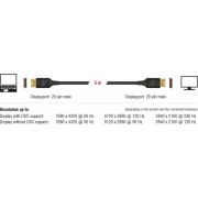 DeLOCK-85660-2m-DisplayPort-DisplayPort-Zwart-DisplayPort-kabel