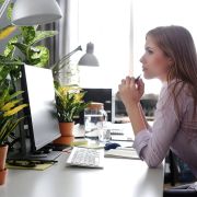 Voorbeeld afbeelding 3