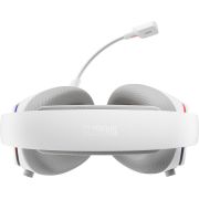 Voorbeeld afbeelding 11