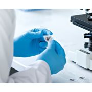 Voorbeeld afbeelding 2