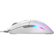 Voorbeeld afbeelding 4