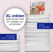 Voorbeeld afbeelding 3