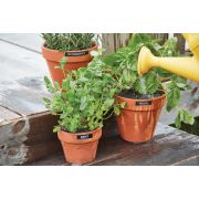 Voorbeeld afbeelding 3