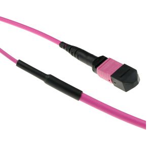 ACT 40 meter Multimode 50/125 OM4(OM3) glasvezel trunkkabel polarity B met MTP/MPO female connectore