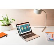 Voorbeeld afbeelding 4