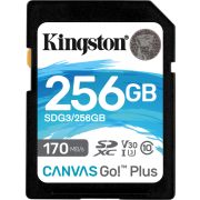 Kingston Technology Canvas Go! Plus flashgeheugen 256 GB SD Klasse 10 UHS-I