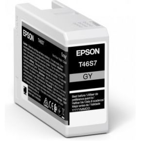 Epson UltraChrome Pro Origineel Grijs 1 stuk(s)