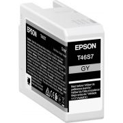 Epson-UltraChrome-Pro-Origineel-Grijs-1-stuk-s-