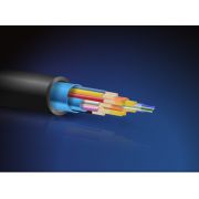 Voorbeeld afbeelding 2