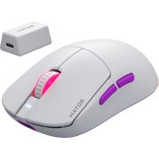 Voorbeeld afbeelding 1