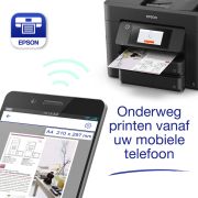 Voorbeeld afbeelding 11