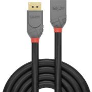 Lindy-36495-DisplayPort-kabel-0-5-m-Zwart
