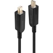 Lindy-38481-DisplayPort-kabel-20-m-Mini-DisplayPort-Zwart