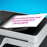 Voorbeeld afbeelding 6