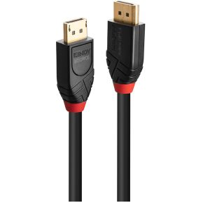 Lindy 41169 DisplayPort kabel 10 m Zwart