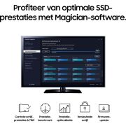 Voorbeeld afbeelding 6