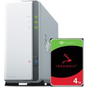 NAS Starterkit Synology DS120j + 1x 4TB Seagate Ironwolf