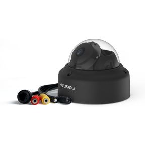 Foscam D2EP-B 2MP PoE Dome Zwart