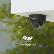 Voorbeeld afbeelding 5