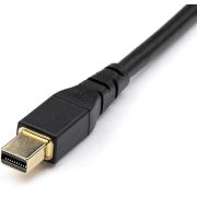 StarTech-com-DP14MDPMM1MB-DisplayPort-kabel-1-m-Mini-DisplayPort-Zwart