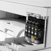 Voorbeeld afbeelding 3