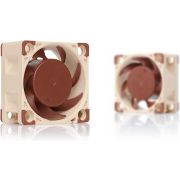 Voorbeeld afbeelding 4