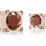 Voorbeeld afbeelding 3