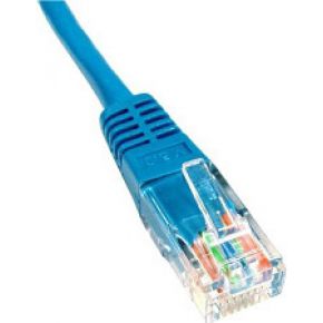 Haiqoe Utp Cat6 Patch Cable Blauw 2M Qimz haiqoe kopen in de aanbieding