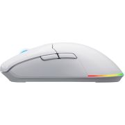 Voorbeeld afbeelding 4