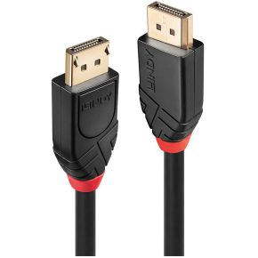 Lindy 41081 DisplayPort kabel 20 m Zwart