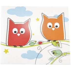 1X25 Daiber Uilen 13X18 Kinder Portretmap daiber kopen in de aanbieding 1X25 Daiber Uilen 13X18 Kinder Portretmap daiber kopen in de aanbieding