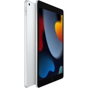 Apple-iPad-2021-10-2-Wifi-256GB-Zilver