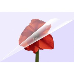 1X50 Olympia Lamineerfolie Din A3 80 Micron 9174 olympia kopen in de aanbieding