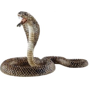 Schleich Wild Life Cobra schleich kopen in de aanbieding