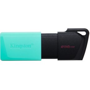 Kingston Technology DataTraveler Exodia M USB flash drive 256 GB USB Type-A 3.2 Gen 1 (3.1 Gen 1) Zw
