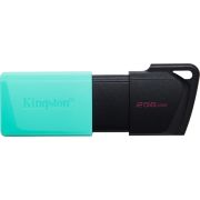 Kingston Technology DataTraveler Exodia M USB flash drive 256 GB USB Type-A 3.2 Gen 1 (3.1 Gen 1) Zw