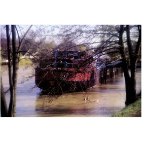 Cokin Filter A082 Weichzeichner Folie cokin kopen in de aanbieding Cokin Filter A082 Weichzeichner Folie cokin kopen in de aanbieding