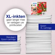 Voorbeeld afbeelding 3