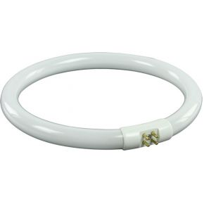 Hq Mag Lamp21Bulb Halogeenlamp hq kopen in de aanbieding Hq Mag Lamp21Bulb Halogeenlamp hq kopen in de aanbieding