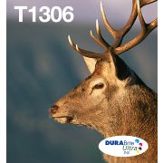 Voorbeeld afbeelding 4