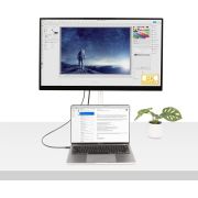 Voorbeeld afbeelding 4