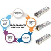 Voorbeeld afbeelding 4