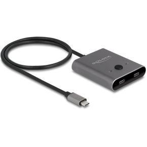 DeLock 11500 interface hub USB 3.2 Gen 2 (3.1 Gen 2) Type-C 10000 Mbit/s Grijs