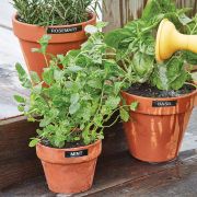 Voorbeeld afbeelding 9