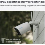 Voorbeeld afbeelding 1