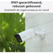 Reolink-P430-Rond-IP-beveiligingscamera-Binnen-buiten-3840-x-2160-Pixels-Muur